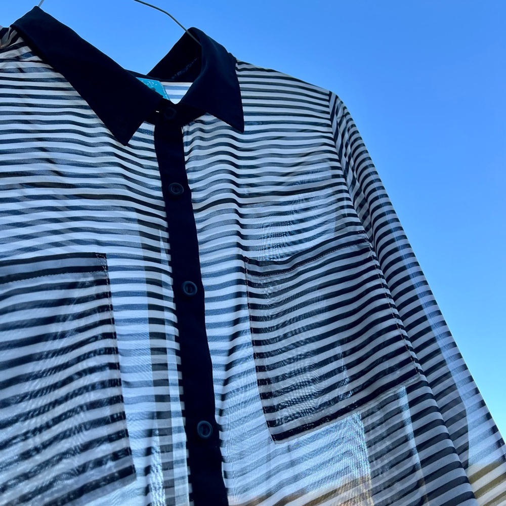 Classic Sheer Black and White Blouse